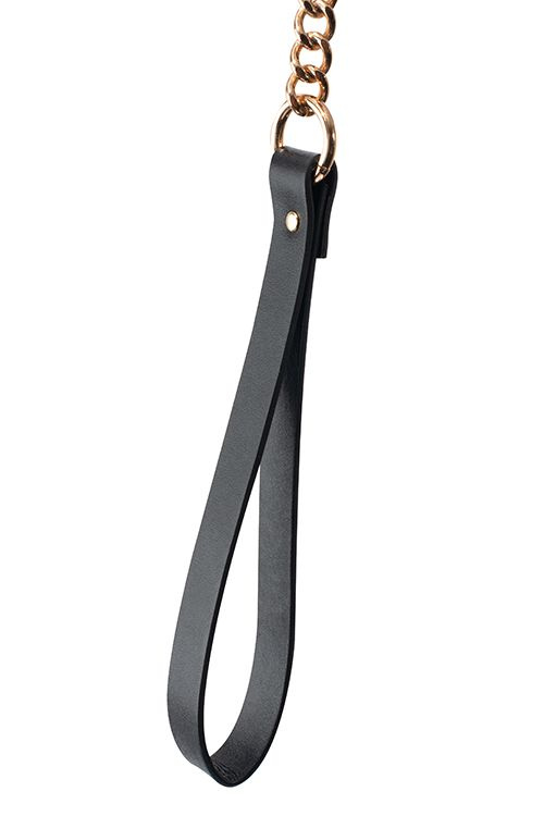 Черный ошейник PREMIUM COLLAR LEASH SET с золотистым поводком